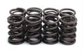 Dual Valve Spring Set