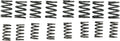 Dual Valve Spring Set