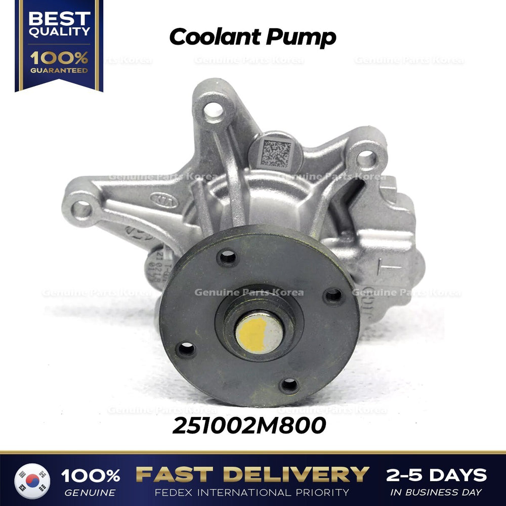 1.6L Gamma-II Coolant Pump Assembly