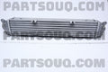 Intercooler Assembly