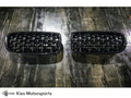G Style Kidney Grilles