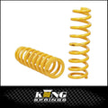 Progressive Rate Front Coil Springs