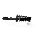 Strut Assembly