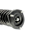 Strut Assembly