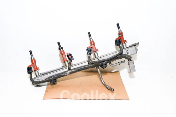 Fuel Injector Assembly