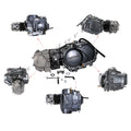 124cc 4-Stroke Engine with 4-Speed Transmission