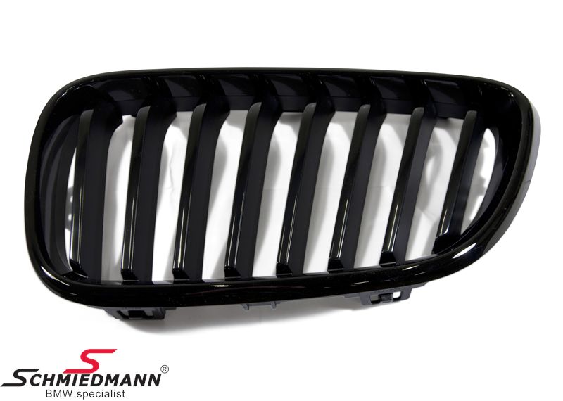 Grille Trim High-Gloss Black