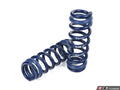 Lowering Springs