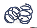 Lowering Springs