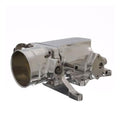 4.6L 2V Throttle Body & Plenum Kit