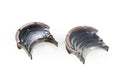 Race Series Main Bearing Set