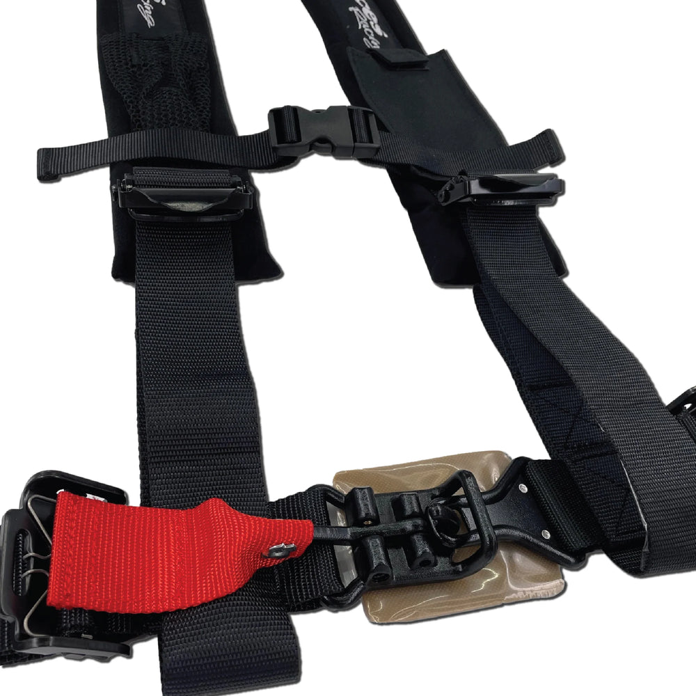 Elite 4 Point Harness