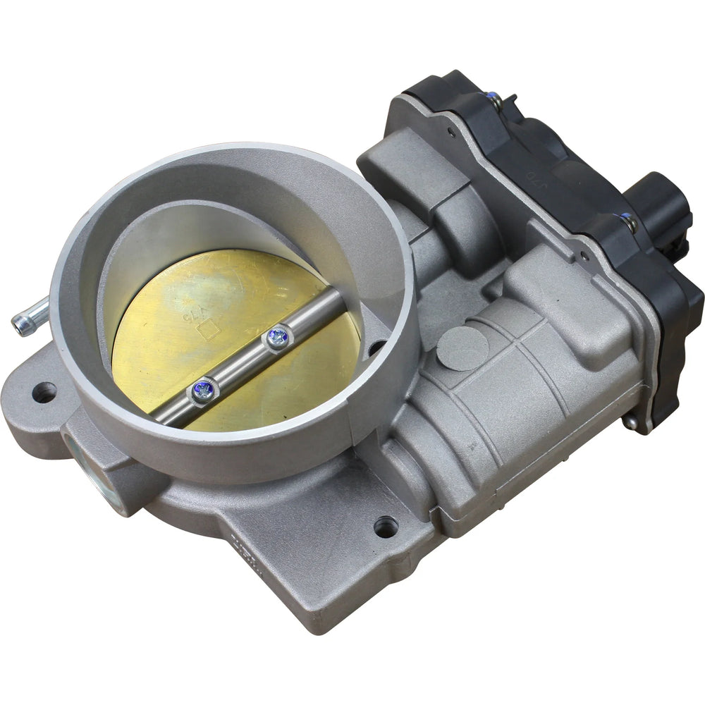 Throttle Body Assembly