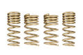 GT-S Lowering Springs