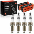 Iridium and Platinum Spark Plug Set
