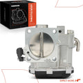 Throttle Body Assembly