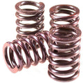 Clutch Spring Kit