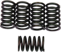 Clutch Spring Kit