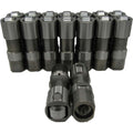 16-Piece Hydraulic Roller Lifter Set
