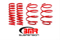 SP041R Lowering Springs