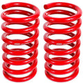 Rear Lowering Springs