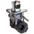 Exhaust Gas Recirculation Cooler