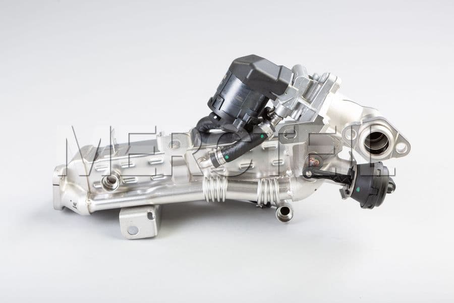 Exhaust Gas Recirculation Cooler