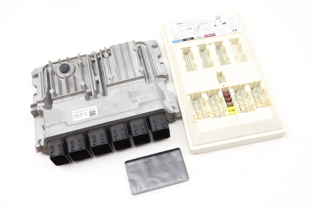 Engine Control Module / Body Domain Controller