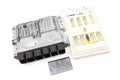 Engine Control Module / Body Domain Controller