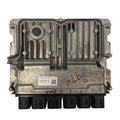 Engine Control Module / Body Domain Controller