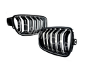 M Kidney Grille