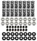 BTR .660" Lift Spring Kit