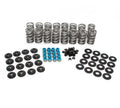 .650" Lift Dual Valve Spring Kit