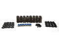 .650" Lift Dual Valve Spring Kit
