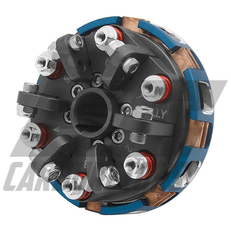2-Disc 6-Spring Racing Clutch