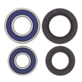 Wheel Bearing and Seal Kit