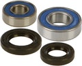 Wheel Bearing and Seal Kit