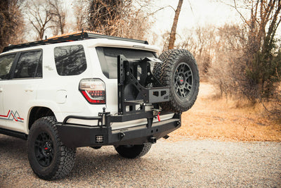 Rear Swing Arm Bumper