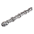 Engine Camshaft
