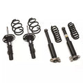 20mm Lowering Coil Spring and Strut Kit