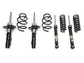 20mm Lowering Coil Spring and Strut Kit