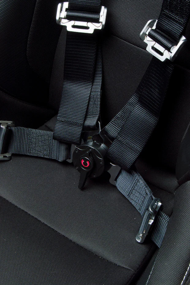 4-Point Racing Harness with Camlock