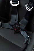 4-Point Racing Harness with Camlock