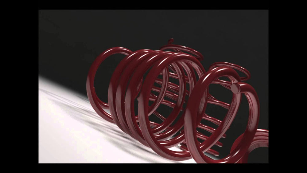 Lowering Springs