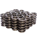 Dual Valve Springs