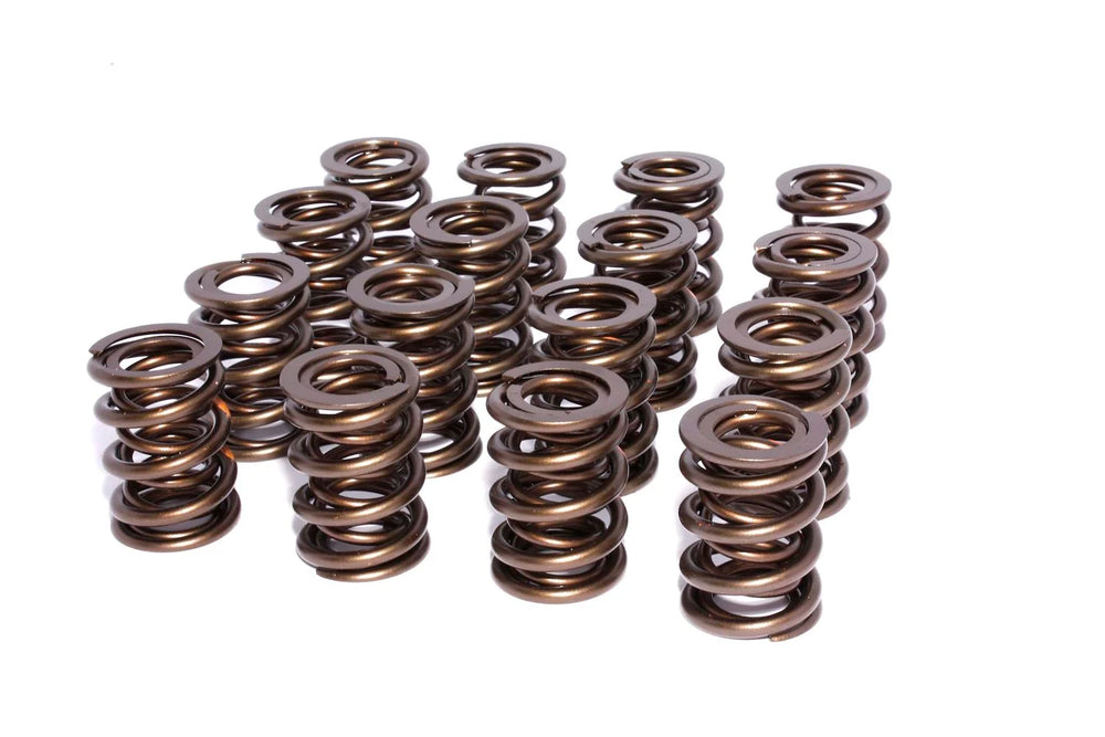 Dual Valve Springs