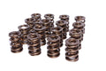 Dual Valve Springs
