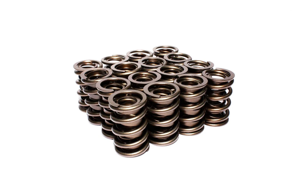 Dual Engine Valve Spring Kit