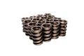 Dual Engine Valve Spring Kit