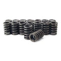 Valve Springs and Shim Kit